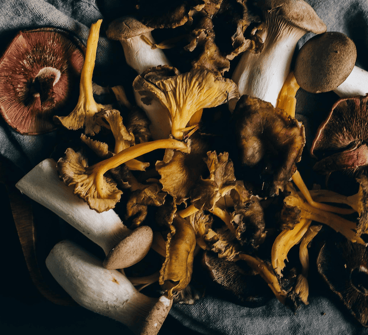 mélange de champignons frais